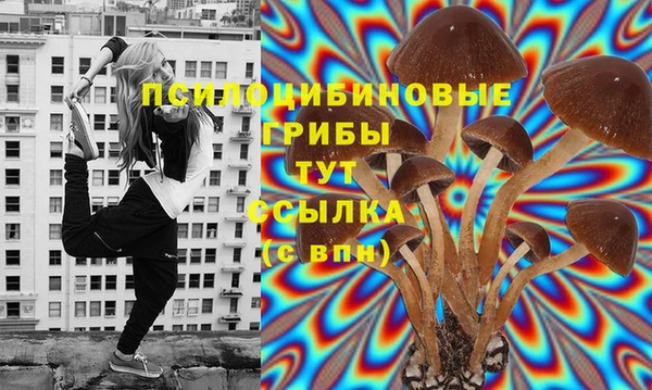 соль курить ск Лиски