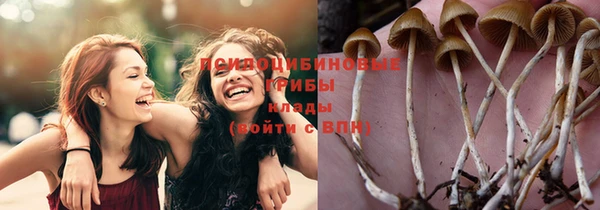 герыч Липки