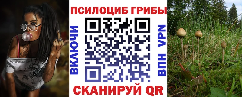 Галлюциногенные грибы Magic Shrooms  где можно купить наркотик  Туран 